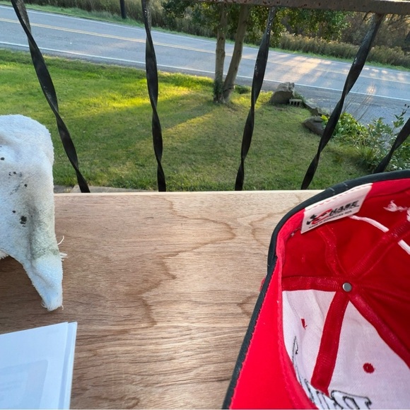 Vintage Dale Earnhardt Jr snapback hat cap NASCAR Racing Budweiser Deadstock - Picture 6 of 8